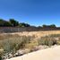 Terreno (Parcela) en venta en Mexquitic De Carmona, San Luis Potosí, Mexquitic De Carmona
