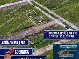  Land for sale in Florencio Varela, Buenos Aires, Florencio Varela