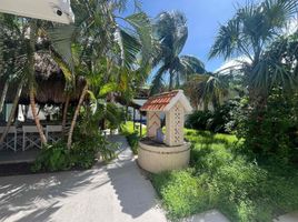 300 제곱미터입니다 Office for rent in Quintana Roo, 코즈멜, Quintana Roo