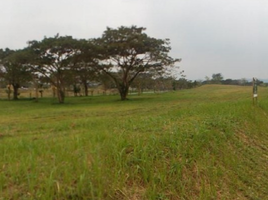  Grundstück zu verkaufen in Calamba City, Calabarzon, Calamba City