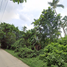  Land for sale in Santo Tomas, Batangas, Santo Tomas