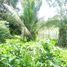  Land for sale in Santo Tomas, Batangas, Santo Tomas