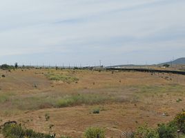  Land for sale in Chile, Ovalle, Limari, Coquimbo, Chile