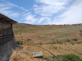  Land for sale in Coquimbo, Ovalle, Limari, Coquimbo