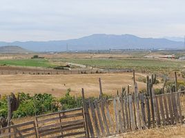  Land for sale in Coquimbo, Monte Patria, Limari, Coquimbo