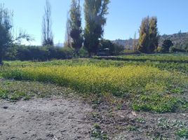  Terreno (Parcela) en venta en Chile, Ovalle, Limarí, Coquimbo, Chile