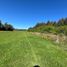  Land for sale in Chile, Villarrica, Cautin, Araucania, Chile