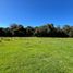  Land for sale in Chile, Villarrica, Cautin, Araucania, Chile