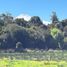  Land for sale in Chile, Villarrica, Cautin, Araucania, Chile
