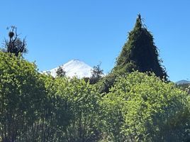  Land for sale in Chile, Villarrica, Cautin, Araucania, Chile