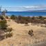  토지을(를) 칠레에서 판매합니다., Punta Arenas, Magallanes, Magallanes Y Antartica Chilena, 칠레
