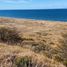  토지을(를) 칠레에서 판매합니다., Punta Arenas, Magallanes, Magallanes Y Antartica Chilena, 칠레