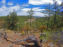  Land for sale in Durango, Durango, Durango, Durango