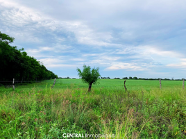  Land for sale in Manlio Fabio Altamirano, Veracruz, Manlio Fabio Altamirano