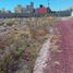  Terreno (Parcela) en venta en San Agustin Tlaxiaca, Hidalgo, San Agustin Tlaxiaca