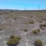  Terreno (Parcela) en venta en San Agustin Tlaxiaca, Hidalgo, San Agustin Tlaxiaca