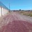 Terreno (Parcela) en venta en San Agustin Tlaxiaca, Hidalgo, San Agustin Tlaxiaca