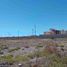  Terreno (Parcela) en venta en San Agustin Tlaxiaca, Hidalgo, San Agustin Tlaxiaca