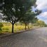  Land for sale in Jamapa, Veracruz, Jamapa