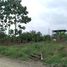  Land for sale in Montalvo, Los Rios, Montalvo, Montalvo, Los Rios