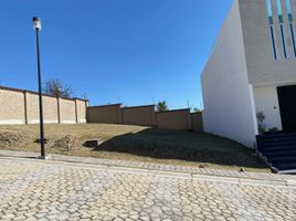  Grundstück zu verkaufen in Atlixco, Puebla, Atlixco