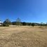  Land for sale in Contepec, Michoacan, Contepec