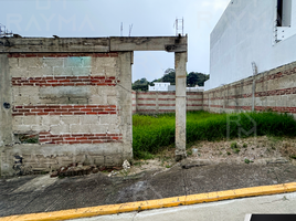 在Coatepec, Veracruz出售的 土地, Coatepec
