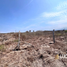  Land for sale in Montecristi, Manabi, Montecristi, Montecristi