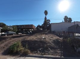 Terrain à vendre à Tijuana, Baja California, Tijuana