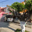 Maison 2 chambre à vendre à Guadalajara, Jalisco, Guadalajara