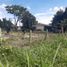 Land for sale in Rionegro, Antioquia, Rionegro