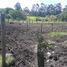  Land for sale in Rionegro, Antioquia, Rionegro