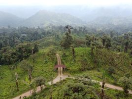  Terreno (Parcela) en venta en San Miguel de los Bancos, Pichincha, San Miguel De Los Bancos, San Miguel de los Bancos