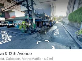  Land for sale in Caloocan City, Northern District, Caloocan City