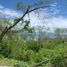  Land for sale in Compostela, Nayarit, Compostela