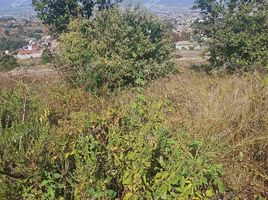  Land for sale in Morelia, Michoacan, Morelia