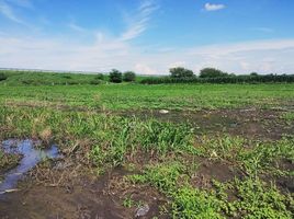  Grundstück zu verkaufen in Irapuato, Guanajuato, Irapuato