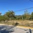  Land for rent in Santiago, Nuevo Leon, Santiago