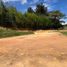 Land for sale in Marinilla, Antioquia, Marinilla