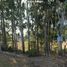  Land for sale in Chile, Lautaro, Cautin, Araucania, Chile