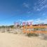  Terreno (Parcela) en venta en Piura, Piura, Piura, Piura, Piura
