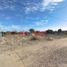  Terreno (Parcela) en venta en Piura, Piura, Piura, Piura, Piura