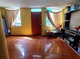 3 Schlafzimmer Haus zu verkaufen in Puente Piedra, Lima, Puente Piedra, Lima, Lima, Peru