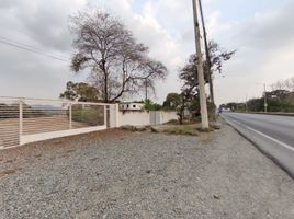  Land for rent in Guayas, Guayaquil, Guayaquil, Guayas