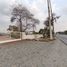  Land for rent in Guayaquil, Guayas, Guayaquil, Guayaquil, Guayas