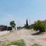  Grundstück zu verkaufen in San Luis Potosi, San Luis Potosi, San Luis Potosi, San Luis Potosi