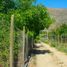  Terreno (Parcela) en venta en Chile, Llaillay, San Felipe de Aconcagua, Valparaíso, Chile