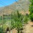  Terreno (Parcela) en venta en Chile, Llaillay, San Felipe de Aconcagua, Valparaíso, Chile