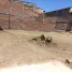  Land for rent in Aguascalientes, Aguascalientes, Aguascalientes, Aguascalientes