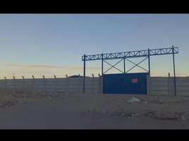  토지을(를) 엘 로아, 안토 가스타에서 판매합니다., Calama, 엘 로아
